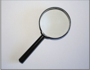 The Maine Group: Leading Online Job Search Facility