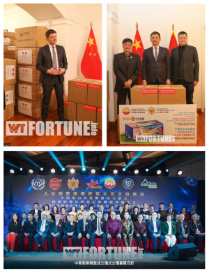 The Ambassador of Montenegro to China received the donation at embassy.