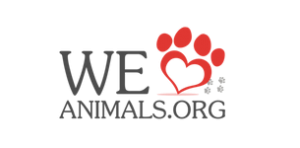 We Heart Animals Launches New Dog & Cat Friendly Website