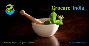 Grocare India Provide Natural Solutions For All Types Of Hernias