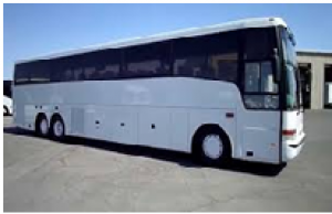 Coach Buses