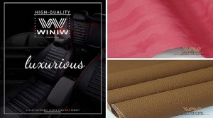Auto Interior Leather