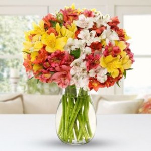 Florista.ph Introduce Exclusive Flower Collection to Celebrate Festival in Lock down