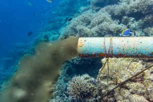 TDM Selected to license ‘The Waterhound Solution’ software in the Philippines 