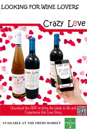 poster - how to used the app