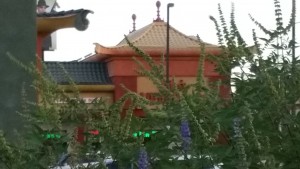 Chinatown Report Launches Redesigned Website  