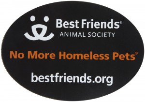 Singer-Songwriter Angelica Montaño asks people to volunteer and donate to help vulnerable animals.