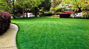 Give Your Lawn the Best Aeration and Maintenance Service with UA Lawn Care 