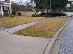 Give Your Lawn the Best Aeration and Maintenance Service with UA Lawn Care 