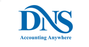 Why You Should Hire Accountants from DNS?