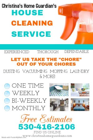 Cleaning service
