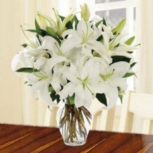 5 Great Offers You'll Find Only On uaeflowers.com