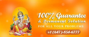 Best Astrologer in Toronto, Mississauga, Canada