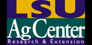  Louisiana Students Recognized In National Online GIS Competition