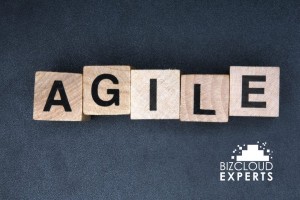 Enable Agile