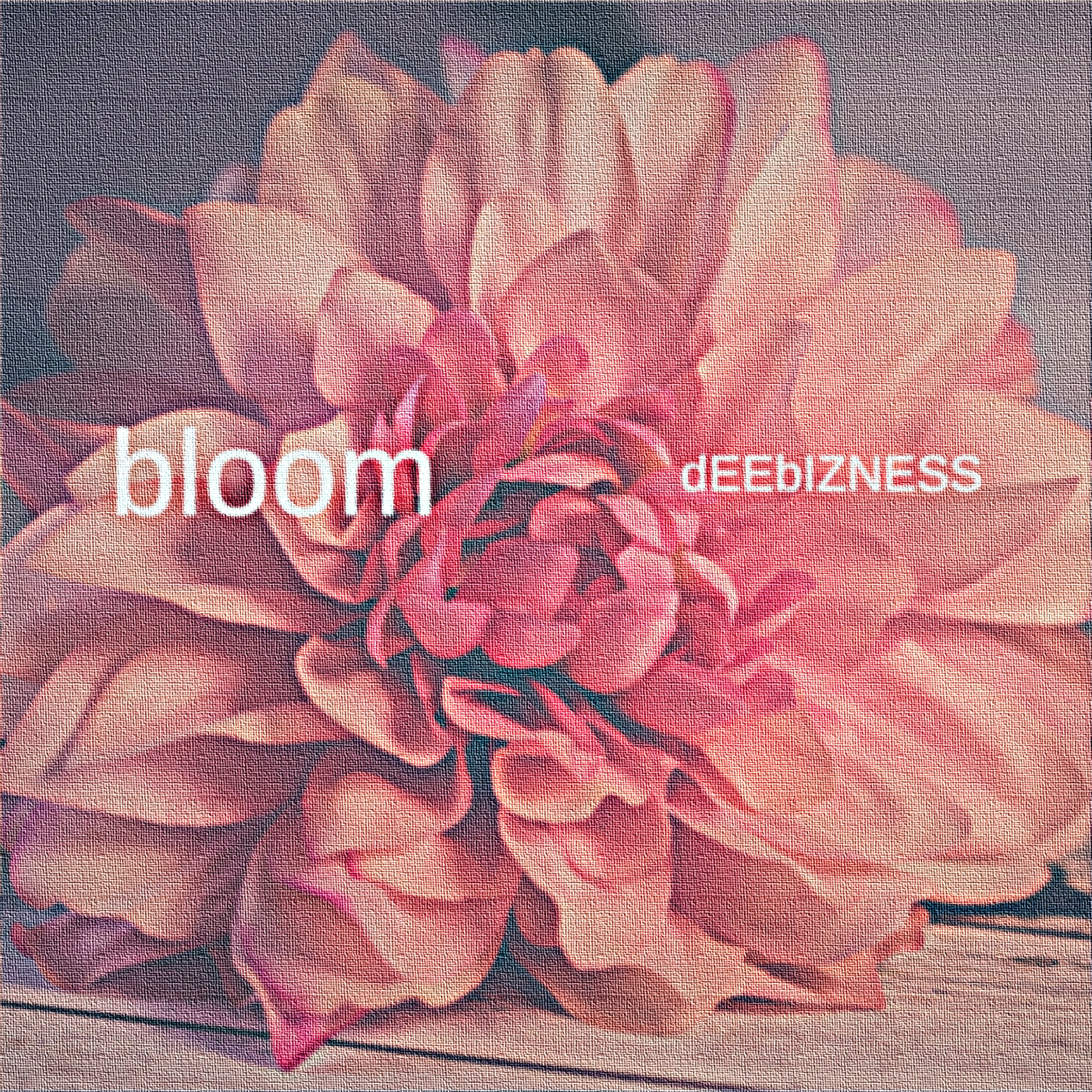 bloom bloom