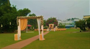 Marriages are Being Organized in Resort