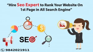 SEO Freelancer Bangalore