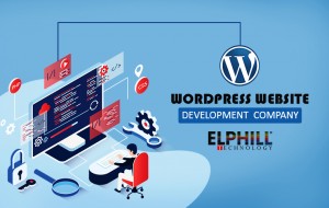 Wordpress-website-development-company05