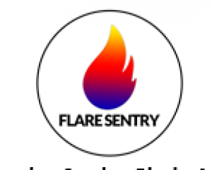 Flare Sentry DNS Filter/Browser Extension Combo- Blocks Ads, Phishing, Ransomware, Malware And Malicious Links 