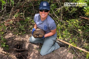 Our knowledge, experience, and understanding of potential environmental liabilities helps our clients achieve their business goals while minimizing their environmental risks.