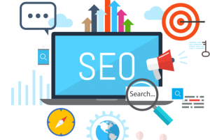 seo company in noida