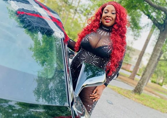 Singer Intelligent Diva Singer Intelligent Diva