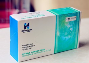 HG Version1