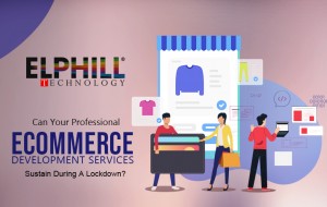 Can Your Professional Ecommerce Development Services Sustain During A Lockdown