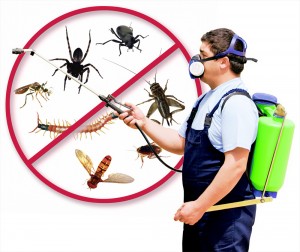 best pest control in london