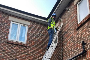 pest control services