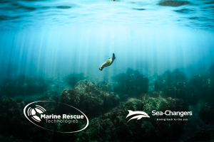 mrt sea changers innovation fund