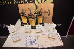 kalakari film festival