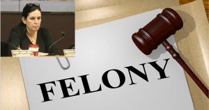 Councilperson Deborah Tsabari 