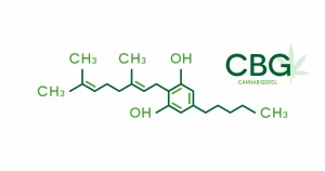 cbg molecule