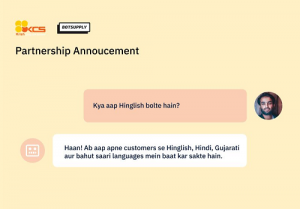 Hinglish Chat
