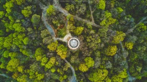 TrillionTreesGame