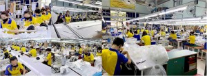 Vietnamese Manufacture Clothing & Custom Garment For SME Export