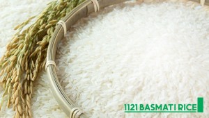 Basmati Rice Exporters From India