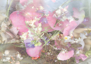 Ultrabianka, SPRINGCORE 01, Courtesy of Electric Artefacts