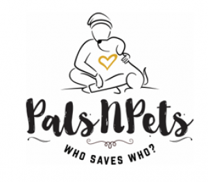 PalsNPets Celebrates Successful Growth in Los Angeles Going From One Shelter to Four in Just Seven Months