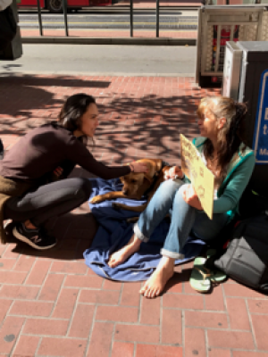 PalsNPets Celebrates Successful Growth in Los Angeles Going From One Shelter to Four in Just Seven Months