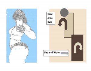 Your Posture May Be Making You Fat