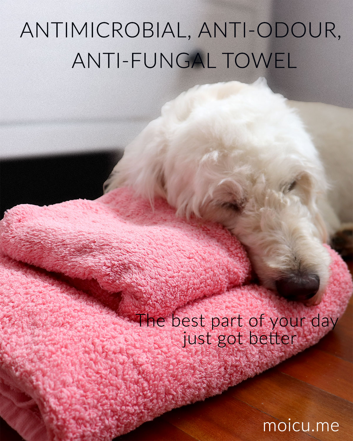 Antibacterial towel protected by Silver ions