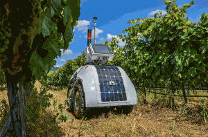 14 Robots In Vineyards 699x460