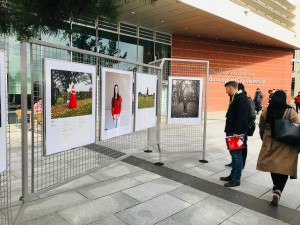 Outdoor Exhibition - Birmingham