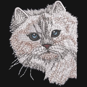 THE PEEKING CAT - EMBROIDERY DESIGN