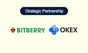 bitberry