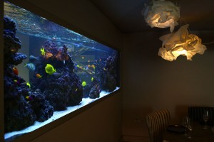 Bespoke aquariums