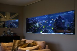 Integrated Bespoke Aquarium